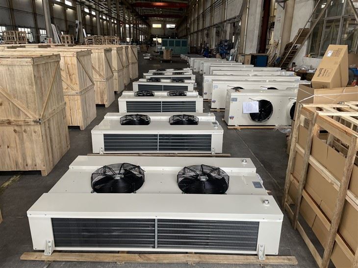 DLE Type Dual Discharge Air Cooler best